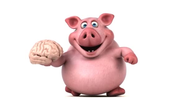 Pig holding brain — Stock Video