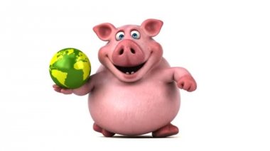 domuz holding dünya 