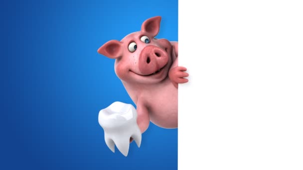 Funny pig with tooth — Stock Video