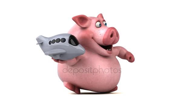 Pig holding plane — Stock Video