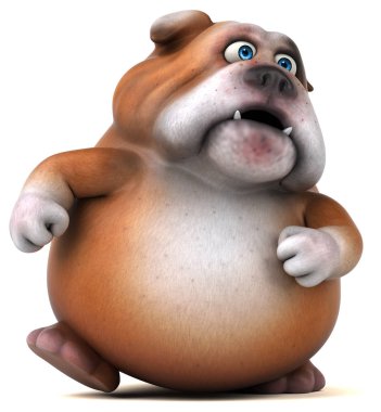 şirin eğlenceli bulldog 