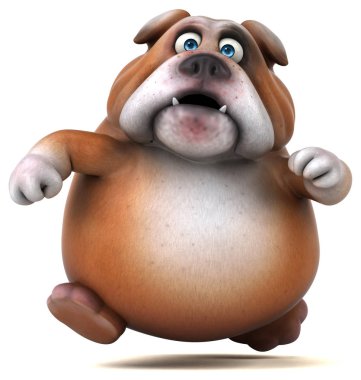 şirin eğlenceli bulldog 