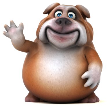 şirin eğlenceli bulldog 