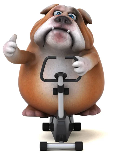 Divertente bulldog ciclismo — Foto Stock