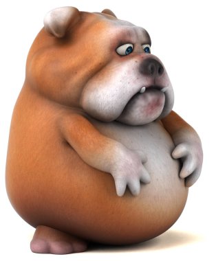 şirin eğlenceli bulldog