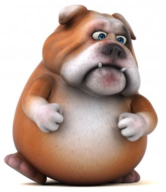 şirin eğlenceli bulldog 