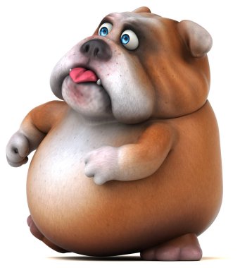 şirin eğlenceli bulldog