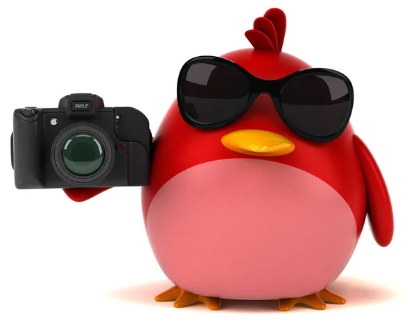 カメラで赤い鳥 — ストック写真
