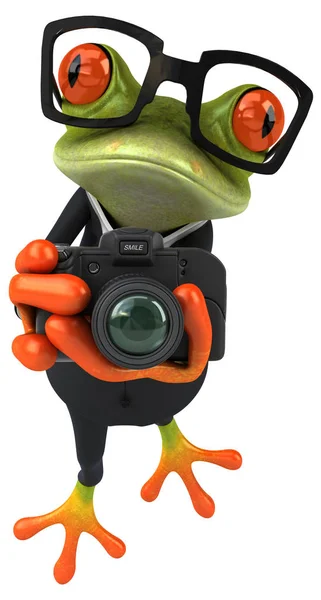 Leuke kikker met camera — Stockfoto