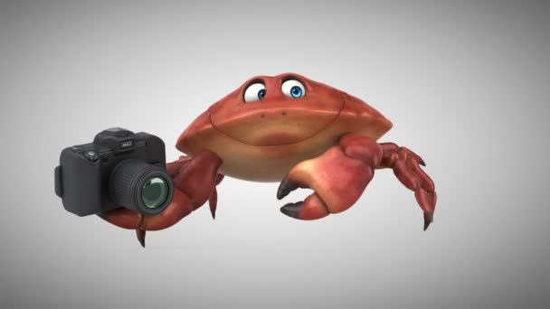 Crab holding camera — Stock Video
