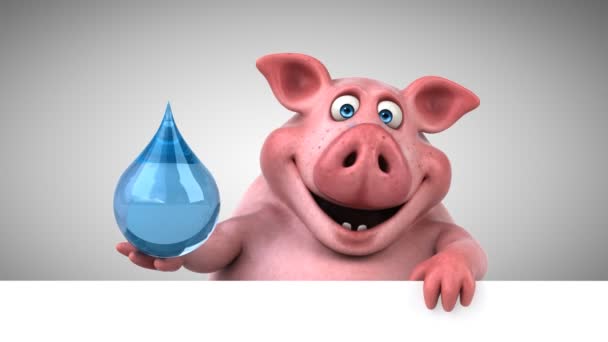 Pig holding water drop — Stock Video