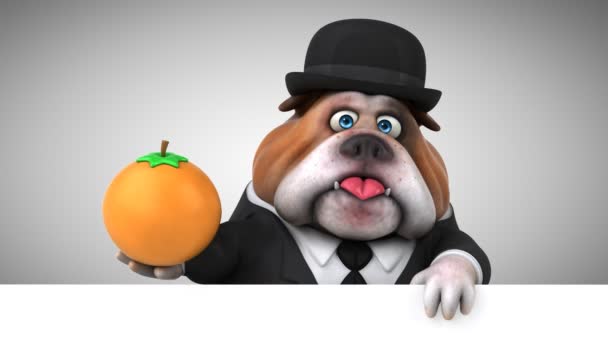 Bulldog Divertido Personaje Dibujos Animados Con Naranja Animación — Vídeos de Stock