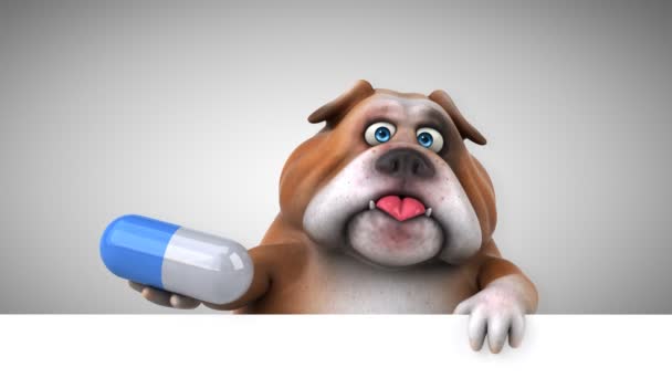 Bulldog Personaje Dibujos Animados Celebración Píldora Animación — Vídeos de Stock