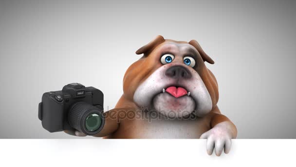 Bulldog Divertente Personaggio Dei Cartoni Animati Con Fotocamera Animazione — Video Stock