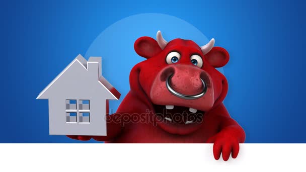 Cow Cartoon Character House Animation — Stock Video