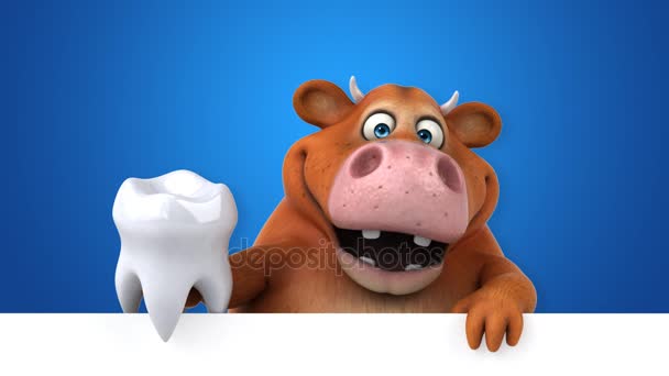 Cow Fun Cartoon Character Tooth Animation — Stock Video