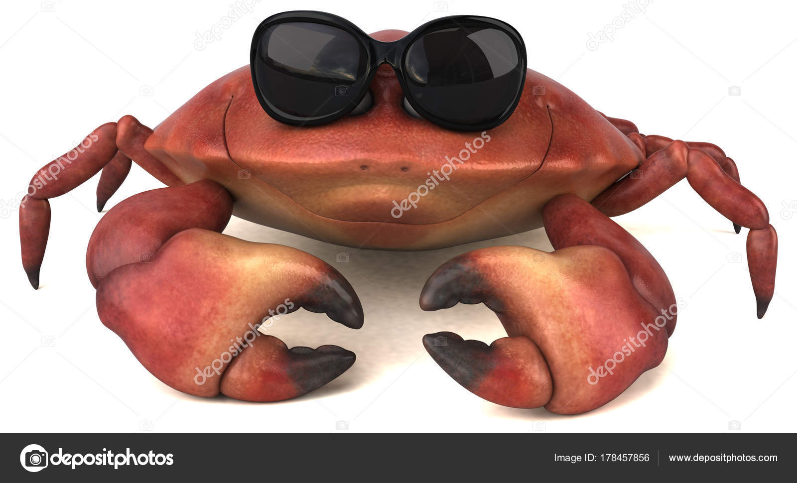 5 627 Cancer Crab Stock Photos Images Download Cancer Crab Pictures On Depositphotos 5 627 Cancer Crab Stock Photos Images Download Cancer Crab Pictures On Depositphotos