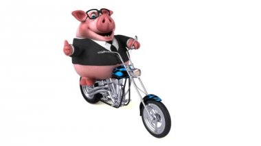 Eğlenceli çizgi film karakteri domuz - 3d animasyon ile motosiklet üzerinde 