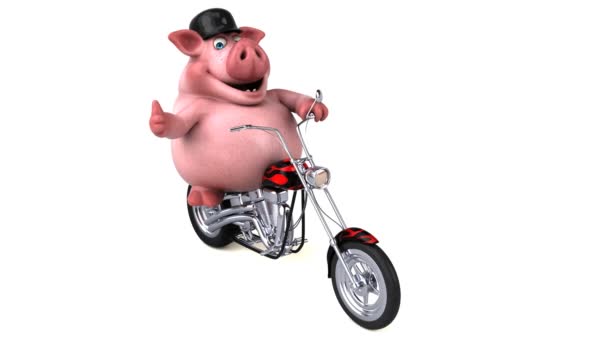 Spaß Zeichentrickfigur Schwein Auf Motorrad Mit Animation — Stockvideo