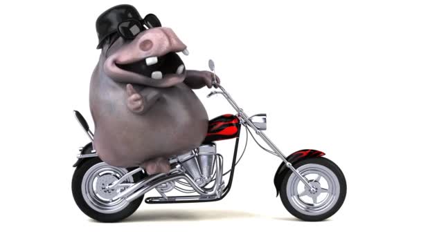 Смешной Персонаж Мультфильма Бегемот Мотоцикле Анимация — стоковое видео