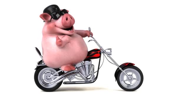 Divertido Personaje Dibujos Animados Cerdo Motocicleta Con Hasta Animación — Vídeos de Stock