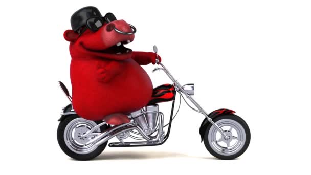 Funny Cartoon Charakter Kráva Motocyklu Animace — Stock video