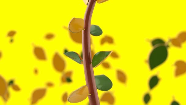Растения Красивый Абстрактный Фон Анимация — стоковое видео