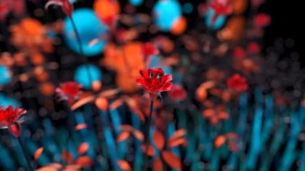 Квіти Красивий Абстрактний Фон Анімація — стокове відео