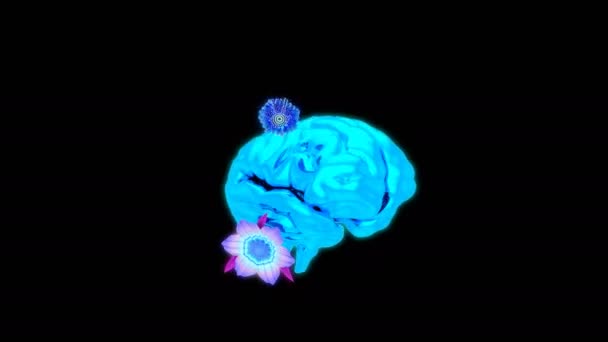 Cerveau Fleurs Beau Fond Abstrait Animation — Video