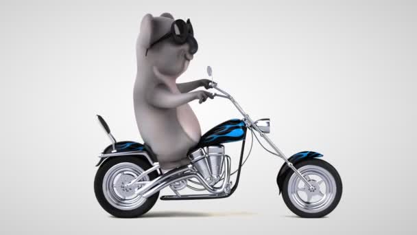 Fun Cartoon Koala Motor Bicycle Showing Thumb — Stock Video