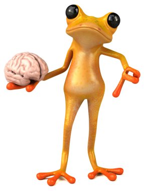 Eğlenceli sarı kurbağa. 