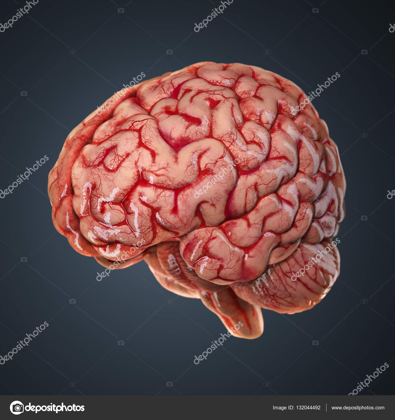 Как называется работа мозга. Красивый мозг. Изучение головного мозга. Работа мозга человека. Что такое нейтрон в головном мозге.