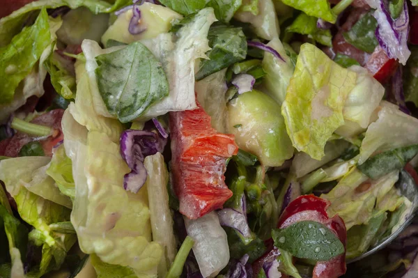 Fresh Healthy Green Vegetable Salad Cut Macro — Stock Photo, Image