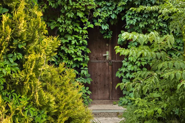Yeşil bahçedeki gizemli kapı