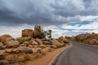 Asfalt yol ve muhteşem kaya oluşumları, Joshua Tree National Park, Kaliforniya, ABD