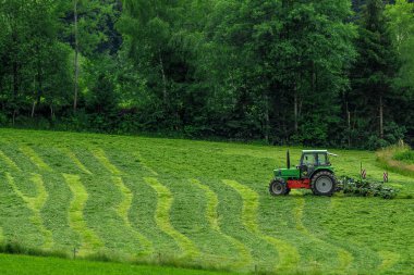 Traktör yeşil çim sahada yapmak bir döner saman tedder ile