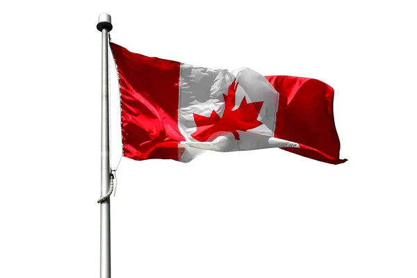 Vlag van Canada — Stockfoto