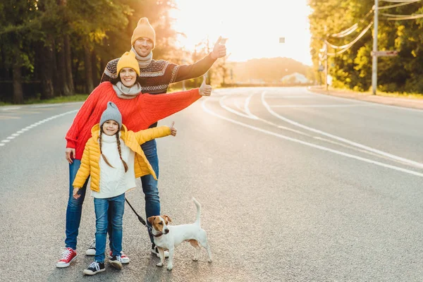 Retrato ao ar livre de mulher bonita, seu marido e filha mostram sinal ok, andar com o cão na estrada, desfrutar da luz do sol, ter estilo de vida ativo. Caminhada familiar amigável antes de dormir respirar ar fresco no campo — Fotografia de Stock