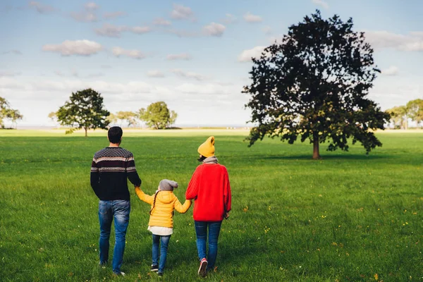 Rodzina szczęśliwy trzymać się za ręce, chodzić na zielonej łące lub pola, stanąć z powrotem do aparatu, cieszyć się wolnością, wielokulturowego i piękne krajobrazy. Razem wydatki czas dla rodziny. Koncepcja relaks i wypoczynek — Zdjęcie stockowe