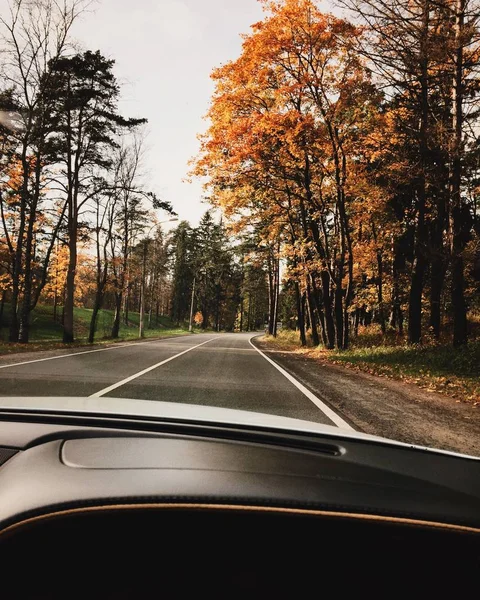 Auto travel concept. View from car of beautiful autumn landscapes. Straight road, yellow trees and travelling by car. Beautiful weather and charming season. Natute background