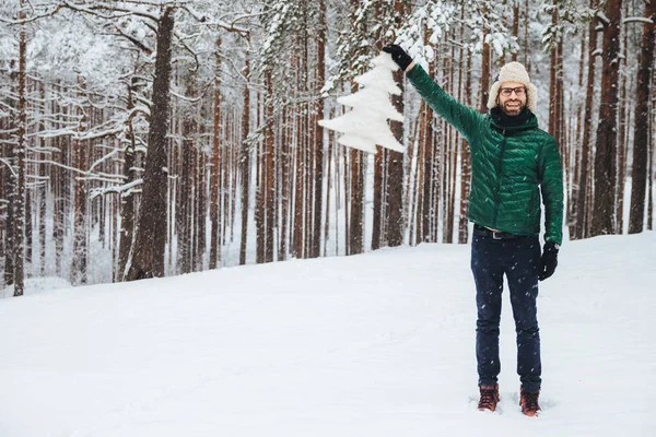 Horizontaal shot van knappe bebaarde man kijkt met gelukkig expressie, toont kunstmatige fir tree die hij kocht, wandelingen op besneeuwde weer in prachtig bos. Geluk concept — Stockfoto