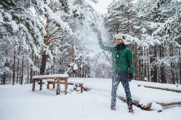 Goed uitziende positieve man houdt hand op fir tree, kijkt met vrolijke uitstraling, geniet van de schoonheid van bomen bedekt met sneeuw, besteedt weekend in bos. Glimlachend bebaarde man wordt in goed humeur — Stockfoto