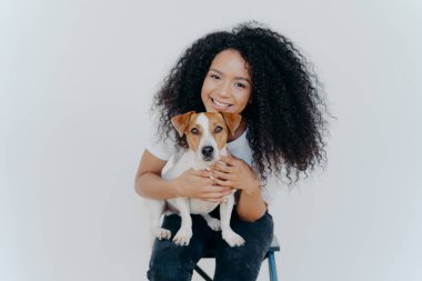 Gülümseyen Afrikalı Amerikalı kadın evcil hayvanlarla poz veriyor, kameraya sevinçle bakıyor, köpeğe sarılıyor, beyaz arka planda izole bir şekilde sandalyeye oturuyor. İki aile üyesi. Sakin ol. Sonsuza dek birlikte