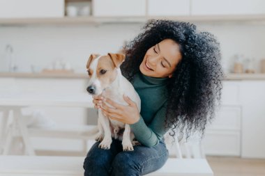 Jack Russell Terrier 'in mutlu bayan sahibi, evcil hayvanla ilgilenme sorumluluğunu hissediyor, gür siyah kıvırcık saçlı, bulanık mutfak geçmişine karşı oturuyor. İnsanlar ve hayvanlarla ilişkiler