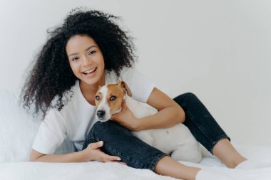 Afro kadının yatakta köpekle dinlendiği, neşeli bir havası olduğu, beyaz arka plana karşı yatak odasında birlikte poz verdiği yatay bir sahne. Kız evde Jack Russell Terrier ile rahatlıyor. Tatlı komik an