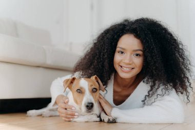 Afro saçlı güzel bir kız, köpekle yerde yatıyor, hoş duygular ifade ediyor, kanepenin yakınındaki oturma odasında poz veriyor, yeni bir dairede evcil hayvan satın alıyor. Kadın ev sahibi ve sevgili hayvan, güzel bir anı paylaşıyorlar.