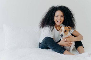 İnsanlar, evcil hayvan bakımı ve arkadaşlık kavramı. Gülümseyen Afro kadın mutlu bir ifadeyle soylu köpeğe sarılır, rahat bir yatağa oturur, beyaz arka plandaki alanı kopyalar, uyur ya da dinlenir.