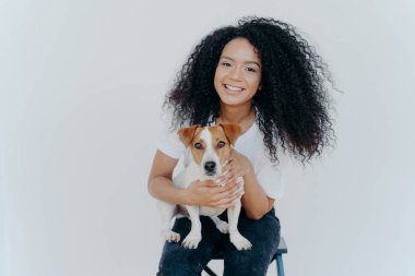 Mutlu, koyu tenli bir kadının soylu bir köpek yavrusuyla sonsuza dek birlikte olduğu, evde boş vakit geçirdiği, beyaz arka planda izole bir şekilde sandalyeye oturduğu bir fotoğraf. İnsan ve hayvan bağlantısı. Güven ve dostluk