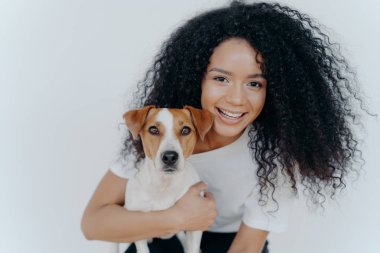 Güzel, kıvırcık saçlı, güzel Afro kadının yakın plan çekimi. En sevdiği köpeği kucaklıyor ve evde birlikte eğleniyor. Beyaz arka planda izole edilmiş Jack Russell Terrier köpeğine sevgilerini iletiyor.
