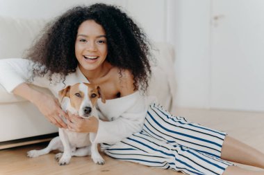 Mutlu kıvırcık bir kadının komik küçük bir köpekle oynaması, ferah bir odada poz vermesi, kanepenin yanında durması, geniş bir gülümseme, sevgiyle evcil hayvanı kucaklaması, şık kıyafetler giymesi, hayvanlarla eğlenmesi.